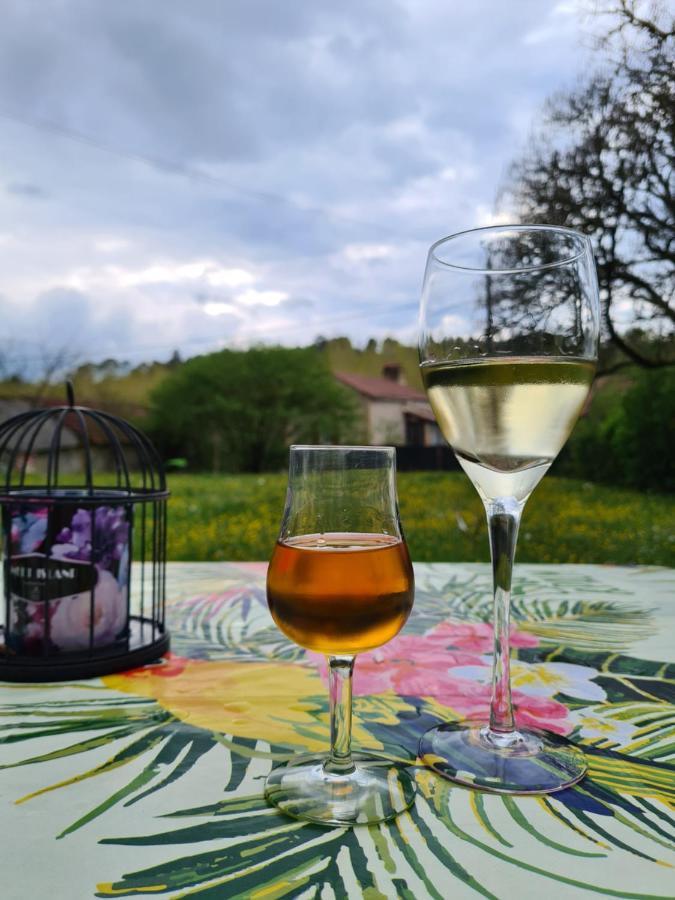 La Perle De Frayssinet-Le-Gelat - Chambre D'Hotes - B&B 外观 照片